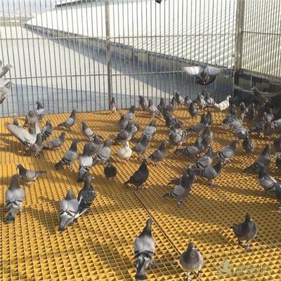 Área abierta 40% 80% FRP Rejilla de ganado para aves de corral/pájaros/palomas