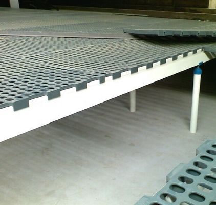 Diseño de granja de la viga de suelo de FRP perfectamente diseñado para la cría de pollos, aves de corral y patos