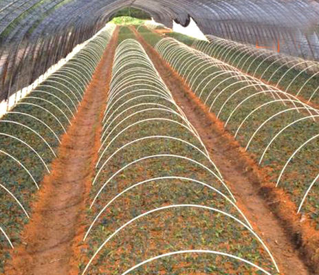 1m a 11,6m de longitud Rodas de fibra de vidrio de FRP liso para soporte de túneles agrícolas